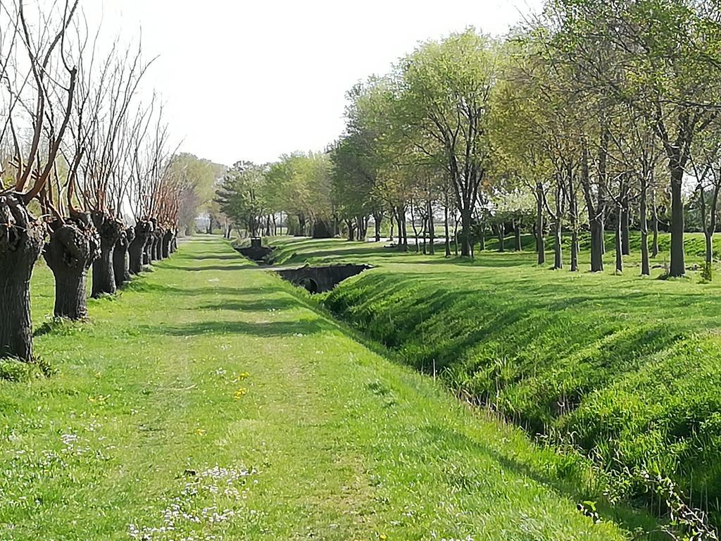 Willa Agriturismo Ai Due Leoni Aquiléia Zewnętrze zdjęcie